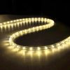 LED Rope Light 150ft Warm White